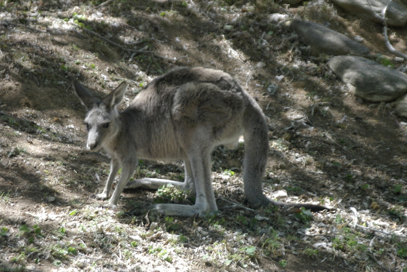 _IGP6159.jpg