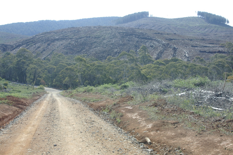 _IGP7095.jpg