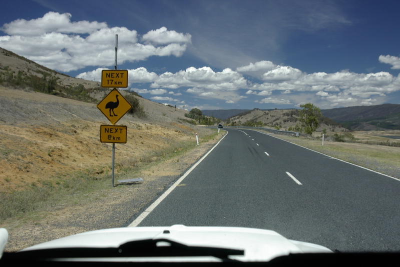 _IGP7223.jpg