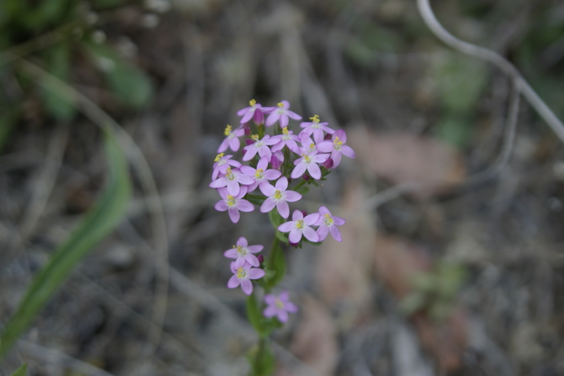 _IGP7249.jpg