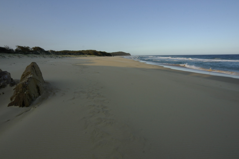_IGP7559.jpg