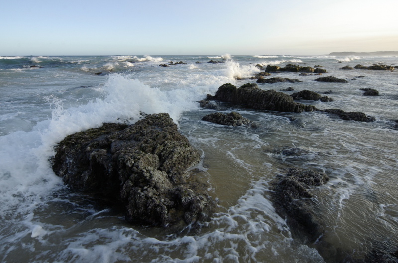 _IGP7574.jpg