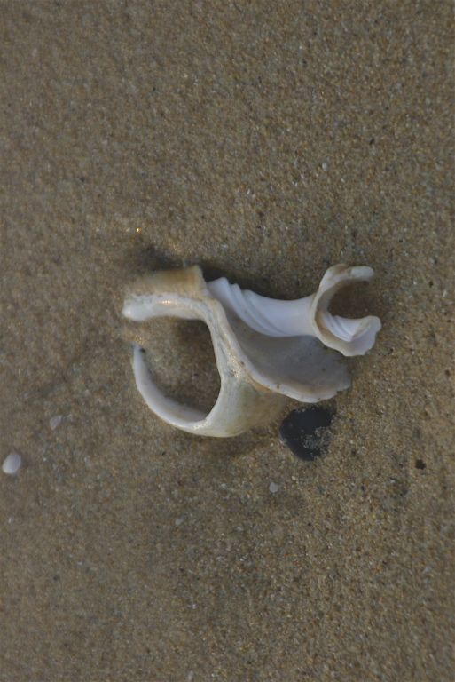 _IGP7685.jpg