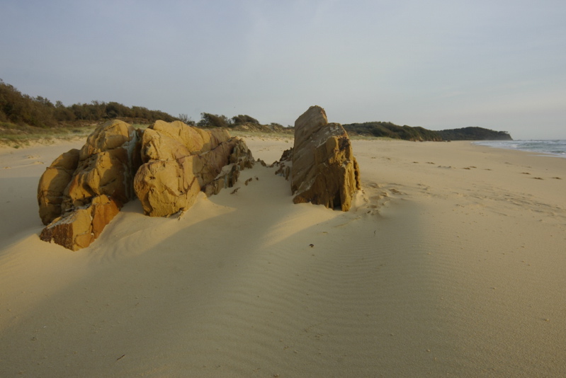 _IGP7719.jpg