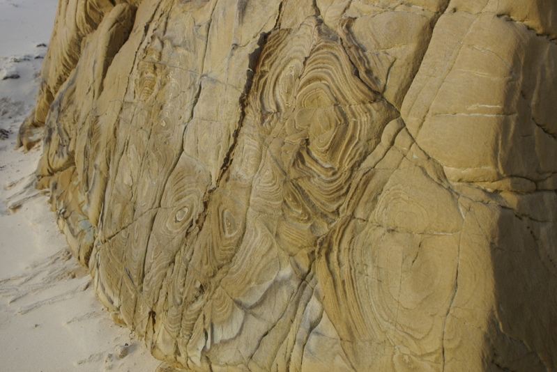 _IGP7751.jpg