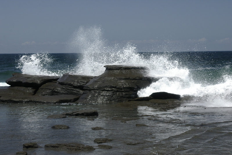 _IGP8791.jpg