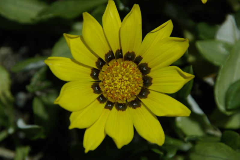 _IGP8967.jpg
