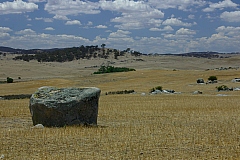 _IGP6601