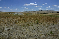 _IGP6613