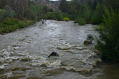 _IGP7064