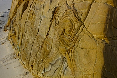 _IGP7751