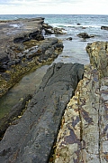 _IGP8657