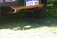_IGP9073