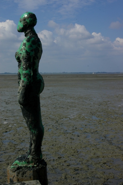 _IGP4349.jpg