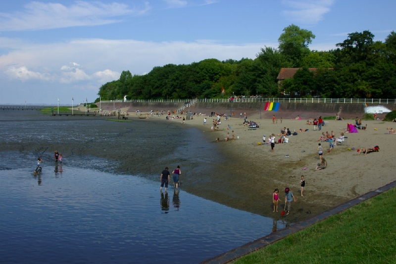 _IGP4384.jpg