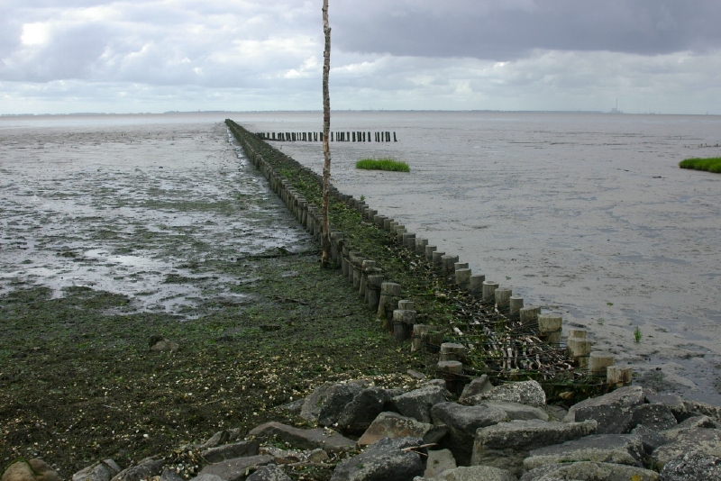 _IGP4809.jpg